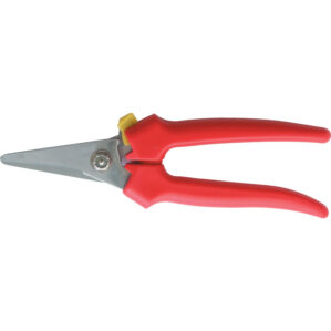 Plier Nose, Wire Strippers